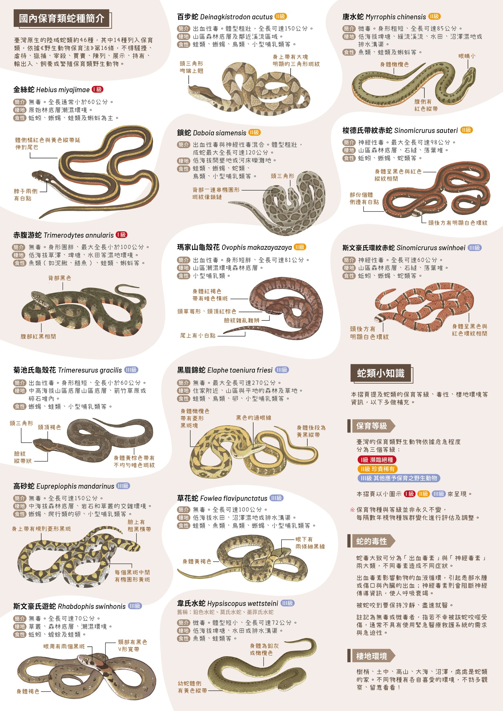 農業部林業及自然保育署宣導「山區活動蛇類保育」事項