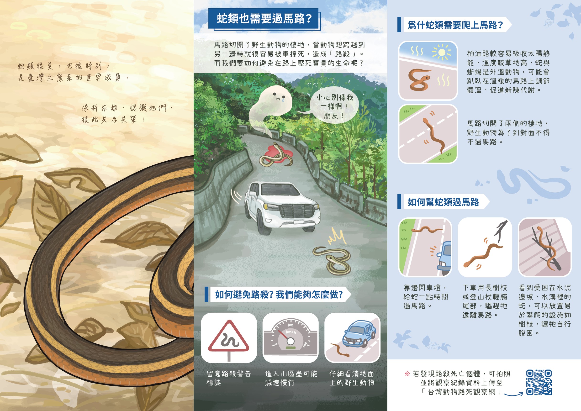 農業部林業及自然保育署宣導「山區活動蛇類保育」事項