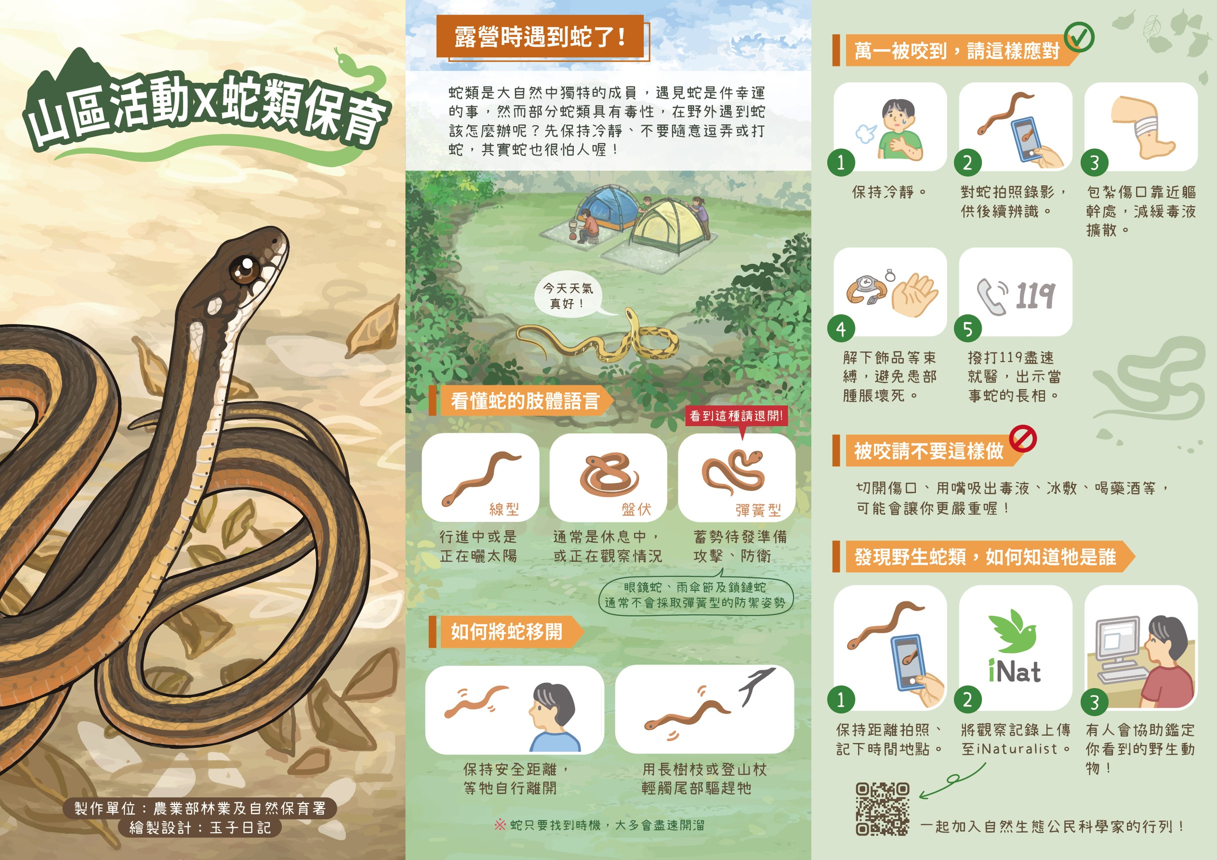 農業部林業及自然保育署宣導「山區活動蛇類保育」事項