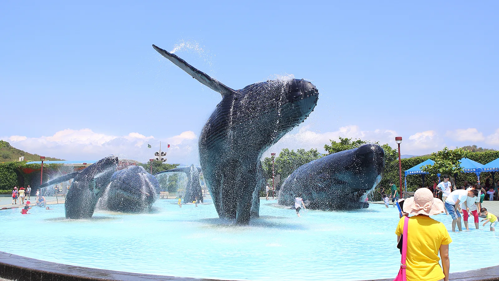 微笑南灣:國立海洋生物博物館