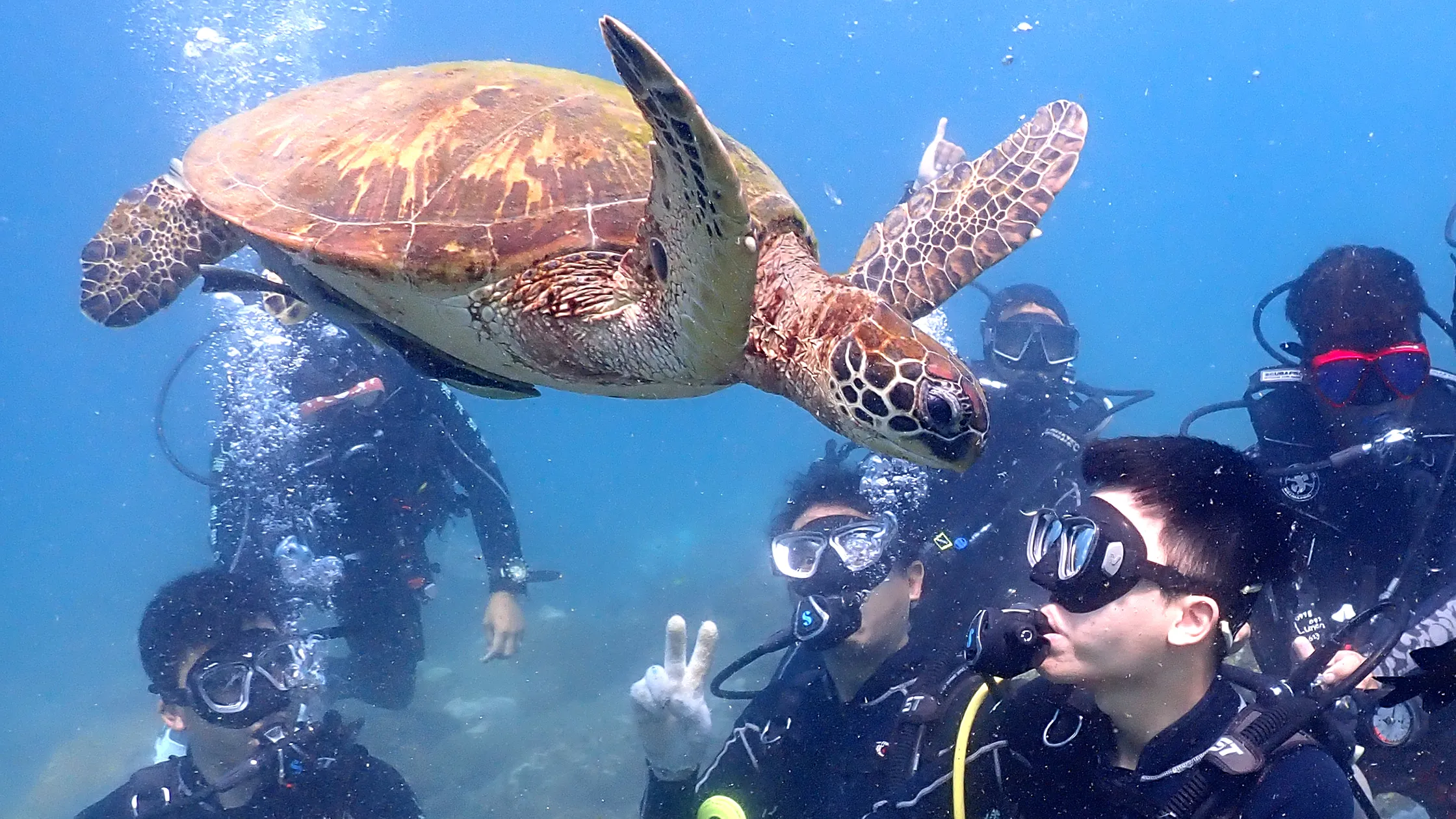 精進推動山水海洋生態旅遊區