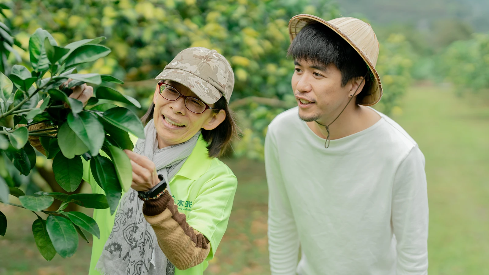 花東觀光圈亮點店家木日光文旦驛站農遊體驗遊程