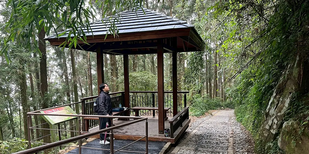 奮起湖環村步道優化工程