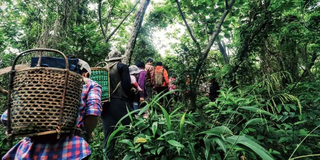 永續旅遊，與文化和土地連結灣